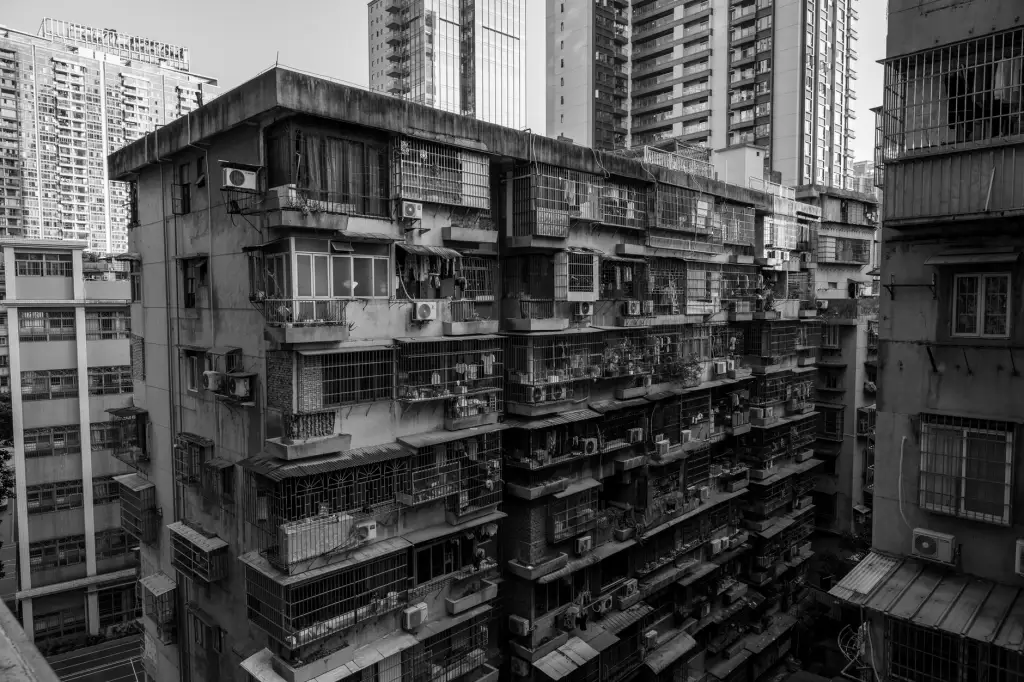 2025年仪器仪表进出口贸易政策调整与合规要点分析