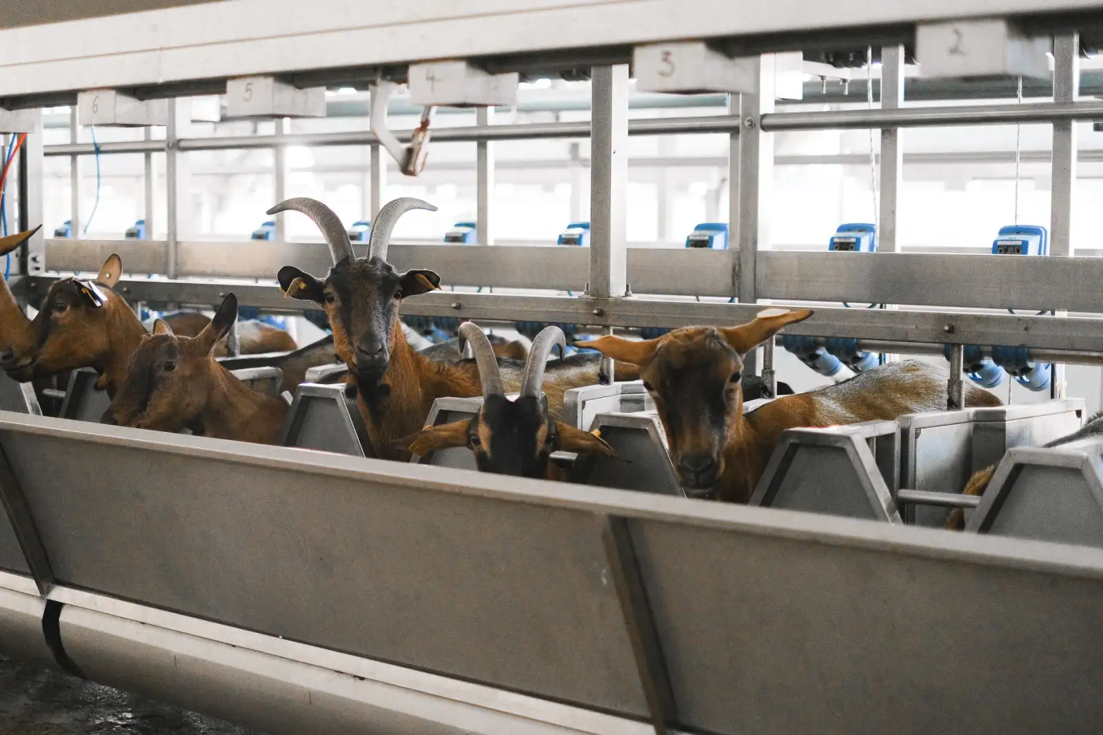 北京淼海科贸有限公司仪器仪表进出口业务常见问题解答