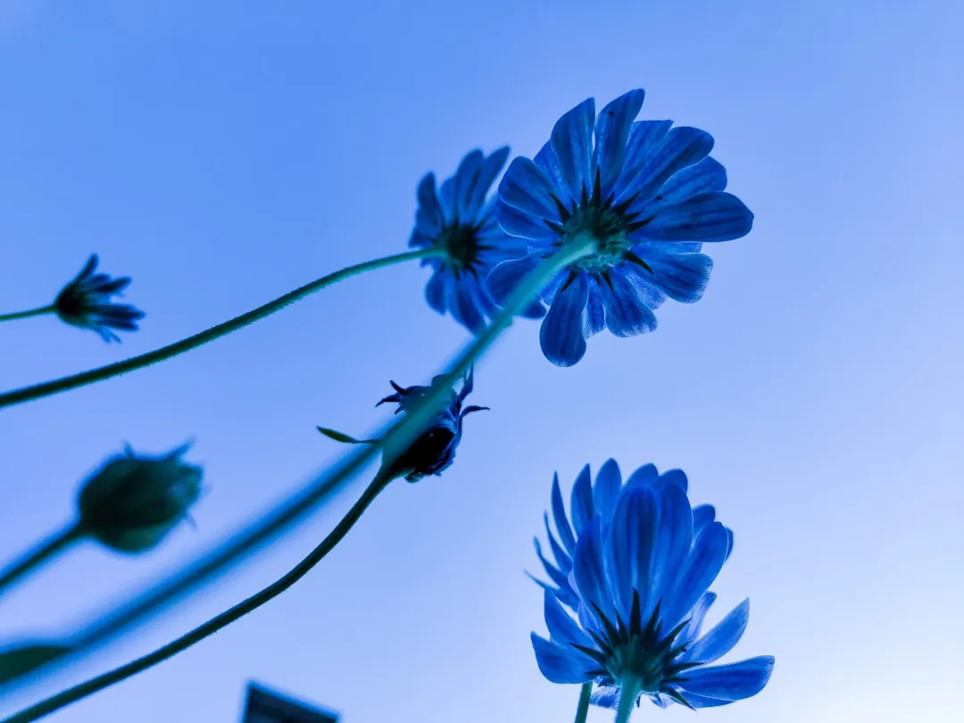 2024年科贸行业电子产品进出口市场趋势与机遇