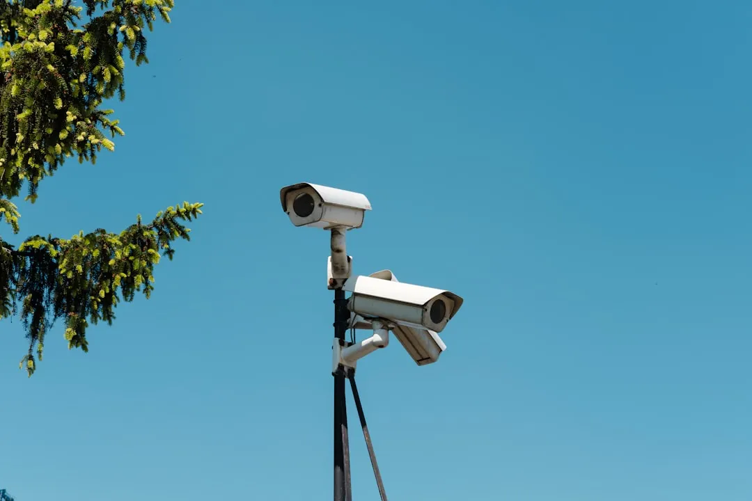 2025年科�贸易行业进出口政策变动与应对策略